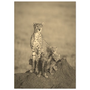 Vintage Serengeti Tanzania Travel Poster Print Wall Art | Retro Cheetah Puppies Serengeti Home Decor | Serengeti Print Vertical Sepia Photo
