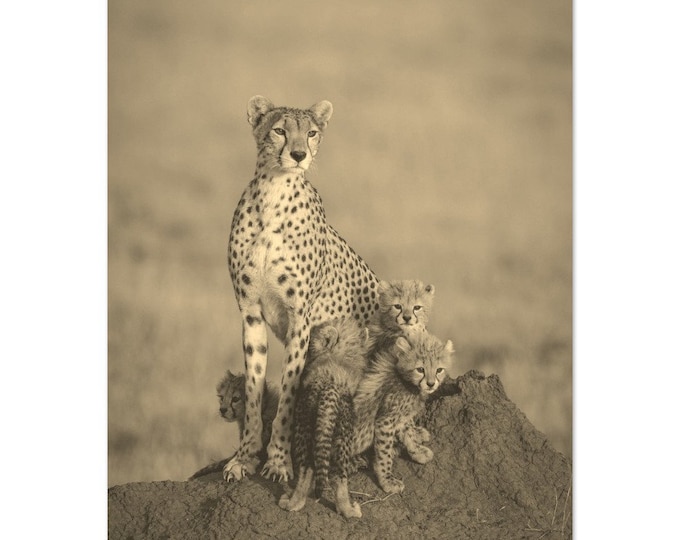 Vintage Serengeti Tanzania Travel Poster Print Wall Art | Retro Cheetah Puppies Serengeti Home Decor | Serengeti Print Vertical Sepia Photo