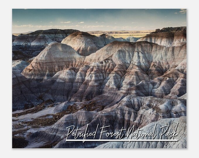Petrified Forest National Park Poster Arizona Print Wall Art | Navajo Home Decor Print | Petrified Forest Hangings AZ Travel Photo Present