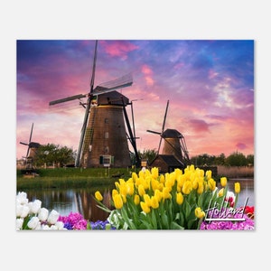 Holland Michigan Poster Print Tulip Flower Wall Art | Holland MI Nature Home Decor Print | Holland Michigan USA Hanging Travel Photo Present