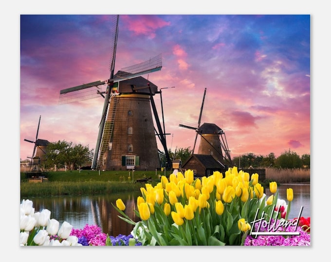 Holland Michigan Poster Print Tulip Flower Wall Art | Holland MI Nature Home Decor Print | Holland Michigan USA Hanging Travel Photo Present