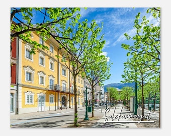 Salzkammergut Austria Poster: Bad Ischl Tree-Lined Street Art