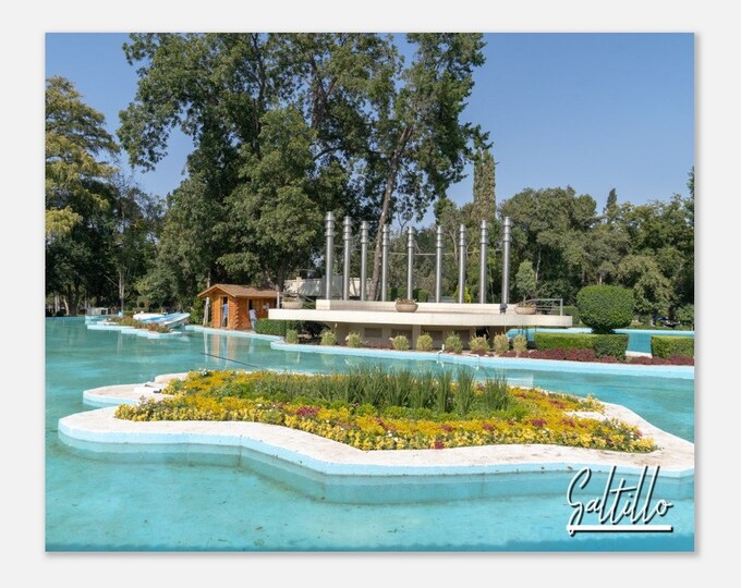Saltillo Mexico Poster Print Wall Art | Saltillo Home Decor | Saltillo Skyline Print | Saltillo Lake at a Park Hangings Travel Photo Gift