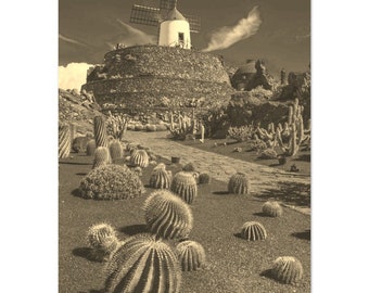 Vintage Lanzarote Poster: Canary Islands Cactus Landscape Print