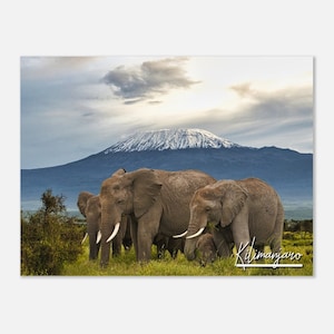 Kilimanjaro Tanzania Poster Print Wall Art | Kilimanjaro Home Decor | Kilimanjaro Savanna | Kilimanjaro Elephant | Kilimanjaro Travel Photo