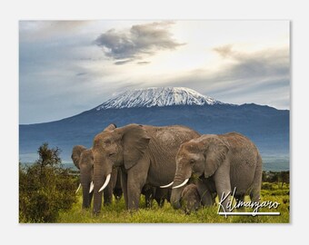 Kilimanjaro Tanzania Poster Print Wall Art | Kilimanjaro Home Decor | Kilimanjaro Savanna | Kilimanjaro Elephant | Kilimanjaro Travel Photo