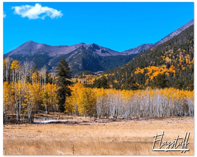 Flagstaff Arizona Poster Print Wall Art | Flagstaff Home Decor | Flagstaff Digital Print  | Flagstaff Horizontal | Flagstaff AZ Travel Photo