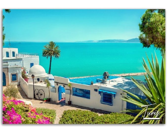 Tunis Poster Print Wall Art | Tunis Home Decor | Tunis Tunisia Digital Print Collectible | Tunis Horizontal | Tunis Hangings Travel Photo