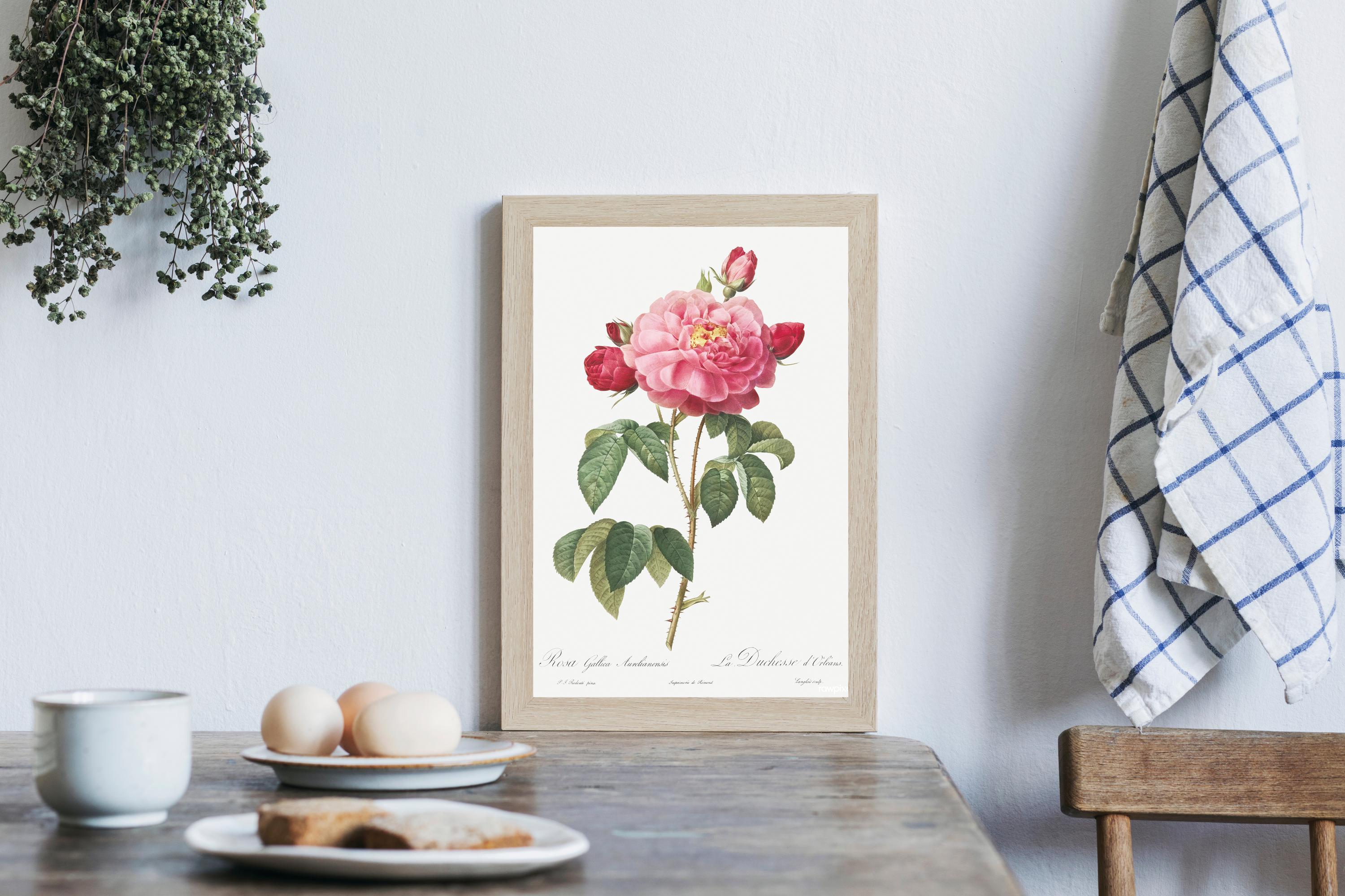 Vintage Botanical Rose Print - Rosa Gallica - Antique Floral Wall Art ...
