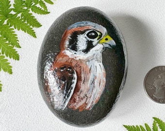 Hawk / Falcon Painted Rock