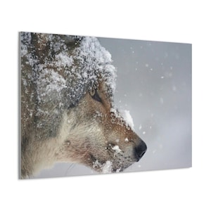 CANVAS ART - Gray Wolf Wall Art | Wildlife Decor | Wolf Snow Art | Wolf Closeup Canvas Print | Wolf Photo | Wolf Gift | Cabin Decor