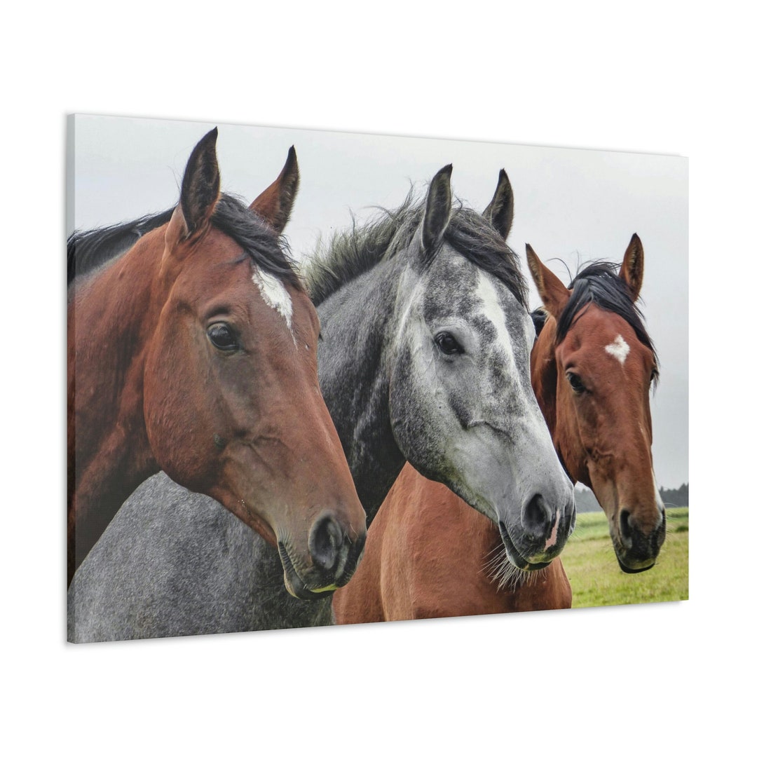 Wandbild Pferde Auf Leinwand – 101,6 X 50,8 Cm, Rustikales Wildpferde-Motiv Für Wohnzimmer & Schlafzimmer