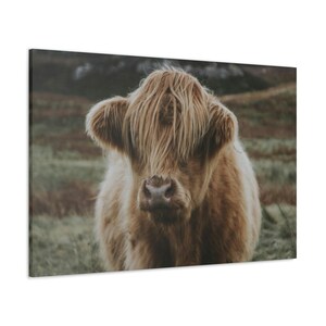 CANVAS ART - Highland Cow Wall Art | Cow Canvas Art | Cattle Canvas Print | Farmhouse Decor | Country Rustic Decor | Animal Art | Cow Gift