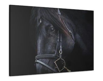 CANVAS ART - Black Horse Wall Art | Horse Closeup Photo | Horse Art | Horse Canvas Print | Horse Canvas | Farmhouse Decor | Horse Lover Gift