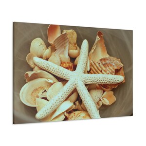 CANVAS ART - Seashell Wall Art | Starfish Wall Decor | Beach Wall Art | Beach House Gift | Beach House Decor | Beach Art Canvas Print