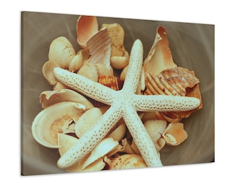 Puede incluir: Impresión en lienzo que presenta una colección de conchas marinas y una estrella de mar blanca. Las conchas marinas son de varias formas y tamaños, con tonos beige y marrón. La estrella de mar se muestra de forma destacada, añadiendo un tema costero a la obra.