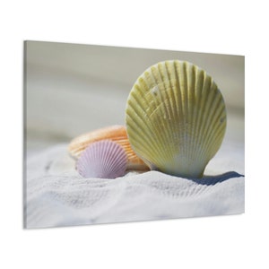 CANVAS ART - Seashell Wall Art | Seashell Wall Decor | Beach Wall Art | Beach House Gift | Beach House Decor | Beach Art Canvas Print
