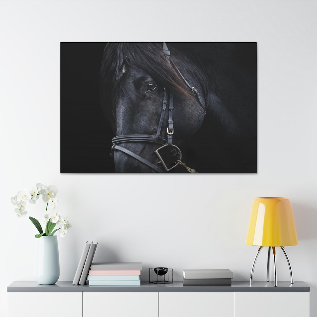 CANVAS ART Black Horse Wall Art Horse Closeup Photo Etsy
