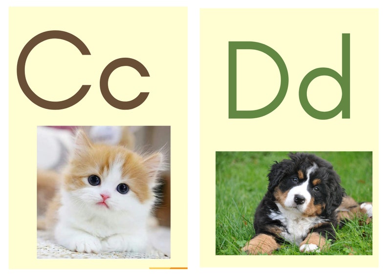 Fundations Sound Cards ABC Cards &amp; Digraphs - Etsy