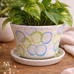 Puede incluir: Una maceta de cerámica blanca moteada, adornada con diseños de círculos azules y verdes. La maceta contiene una planta verde vibrante con hojas abigarradas. La maceta se asienta sobre un platillo a juego.