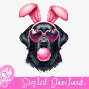 May include: A black Labrador Retriever wearing pink bunny ears and heart-shaped sunglasses, blowing a pink bubble. Digital Download.