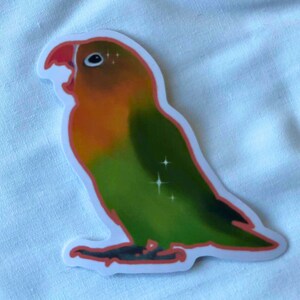 Fischer&#39;s Lovebird Waterproof Vinyl Sticker - Bird Breed Animal Art Laptop Decal - Cute Colourful