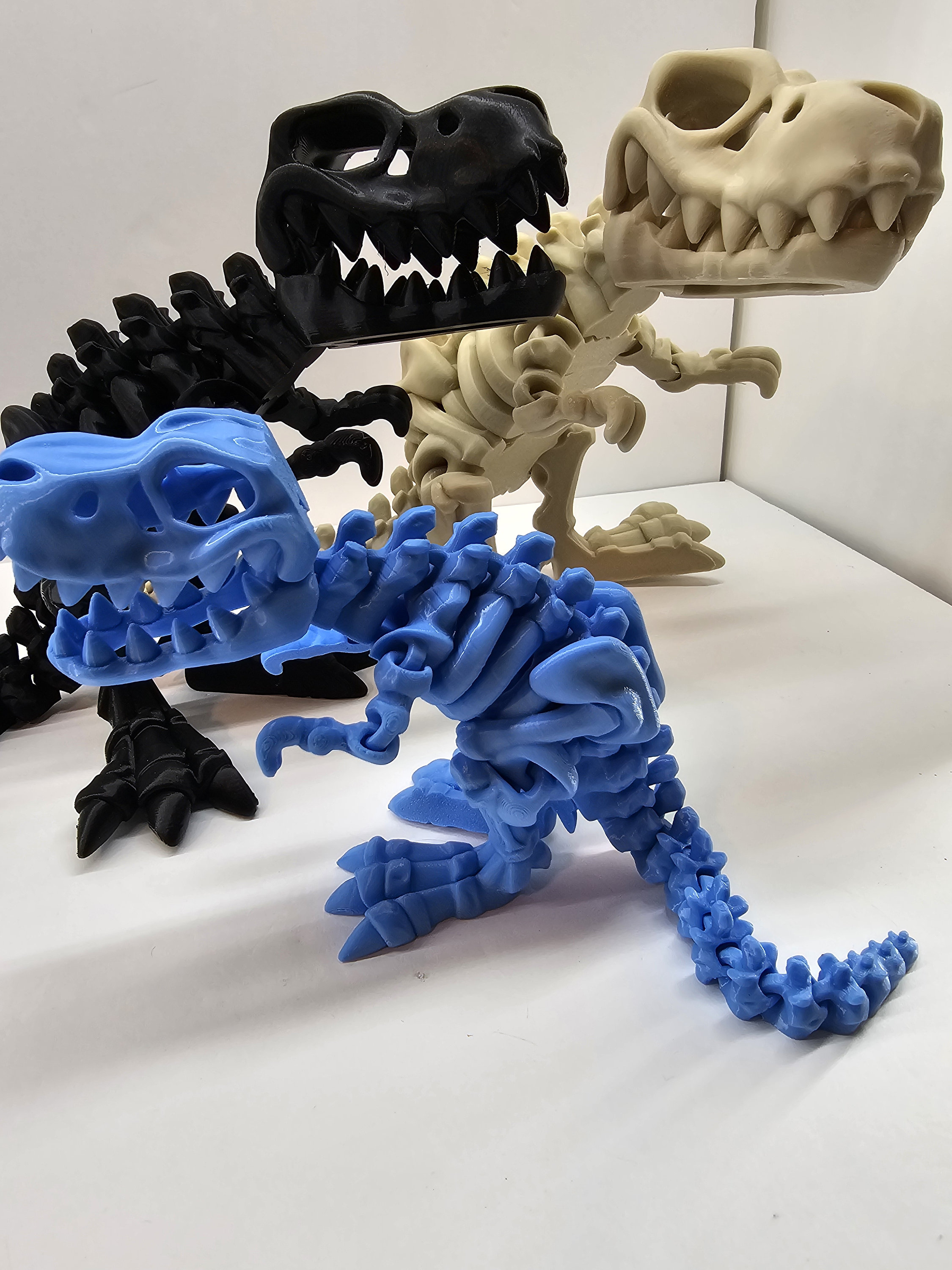 38explore 38-kT THE SKELETON スケルトン2個　新品 38-kT THE SKELETON | 38explore