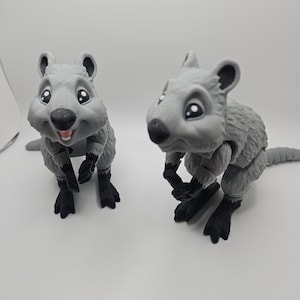 May include: Two gray, articulated, toy quokkas with black eyes and noses. The quokkas are posed in a sitting position with their arms and legs bent.