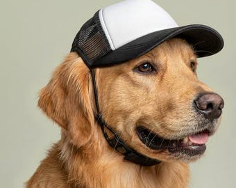 Gorra de camionero con diseño de perro de Force Against Hunger 2026 / gorra de malla de espuma