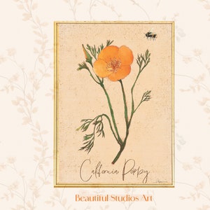 Vintage California Poppy Print: Botanical Wildflower Wall Art (Digital Download)