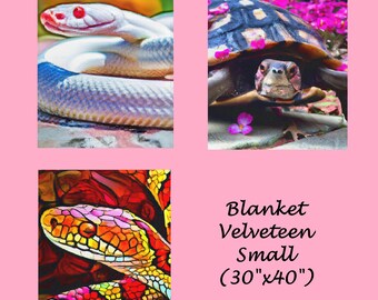 Small Blanket Velveteen (30"x40")