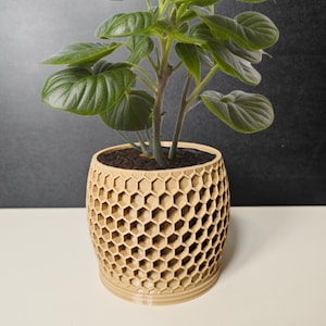 May include: A potted plant with vibrant green leaves sits in a beige honeycomb-patterned planter. The cylindrical planter has a textured surface and is filled with dark soil. The plant's stems are brown, and the background is a dark gray.