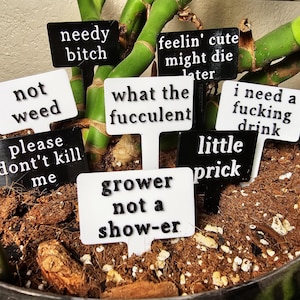 Puede incluir: Primer plano de una planta en maceta con varios marcadores de plantas rectangulares pequeños. Los marcadores son blancos y negros, cada uno con una frase humorística en negrita, fuente sans-serif. Las frases incluyen "needy bitch" y "grower not a show-er."