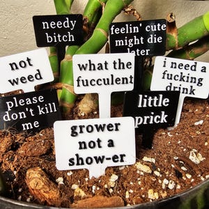 May include: A collection of black and white plant markers with text including 'needy bitch', 'feelin' cute might die later', 'not weed', 'what the fucculent', 'i need a fucking drink', 'please don't kill me', 'little prick', and 'grower not a show-er'.