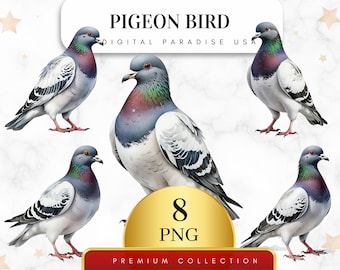 Set of 8, Pigeon Clipart, Cute Bird PNG, Watercolor Pigeon, Bird Clipart, Pigeon PNG, Pigeon Art, Digital Download, Sublimation PNG