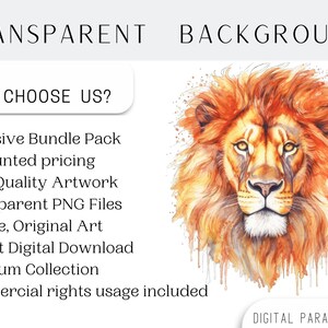 Set of 18, Watercolor Lion Clipart, Lion PNG, Boho Lion Set, Watercolor Lion, Baby shower Clipart, Digital Art, Sublimation Png, Digital PNG image 4