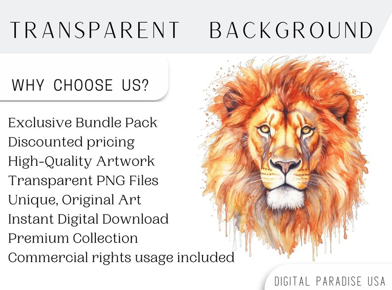 Set of 18, Watercolor Lion Clipart, Lion PNG, Boho Lion Set, Watercolor Lion, Baby shower Clipart, Digital Art, Sublimation Png, Digital PNG image 4