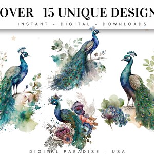 Set of 15, Watercolor Peacock Clipart, Peacock PNG, Boho Peacock Art, Watercolor Bird, Peacock Feathers, Sublimation PNG, Digital Download image 2