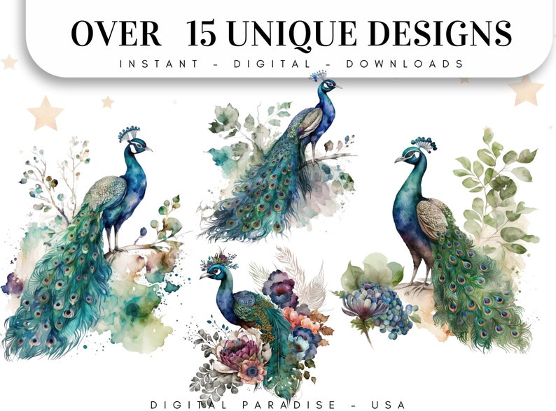 Set of 15, Watercolor Peacock Clipart, Peacock PNG, Boho Peacock Art, Watercolor Bird, Peacock Feathers, Sublimation PNG, Digital Download image 2
