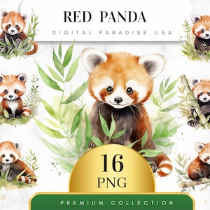 Set of 16, Red Panda Clipart, Cute Panda PNG, Animal Clipart, Watercolor Red Panda, Scrapbook, Junk Journal, Sublimation, Digital Download