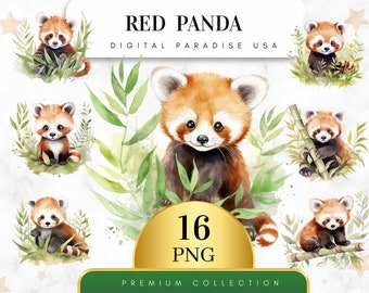 Set of 16, Red Panda Clipart, Cute Panda PNG, Animal Clipart, Watercolor Red Panda, Scrapbook, Junk Journal, Sublimation, Digital Download
