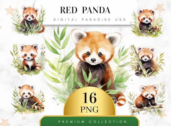 Set of 16, Red Panda Clipart, Cute Panda PNG, Animal Clipart, Watercolor Red Panda, Scrapbook, Junk Journal, Sublimation, Digital Download