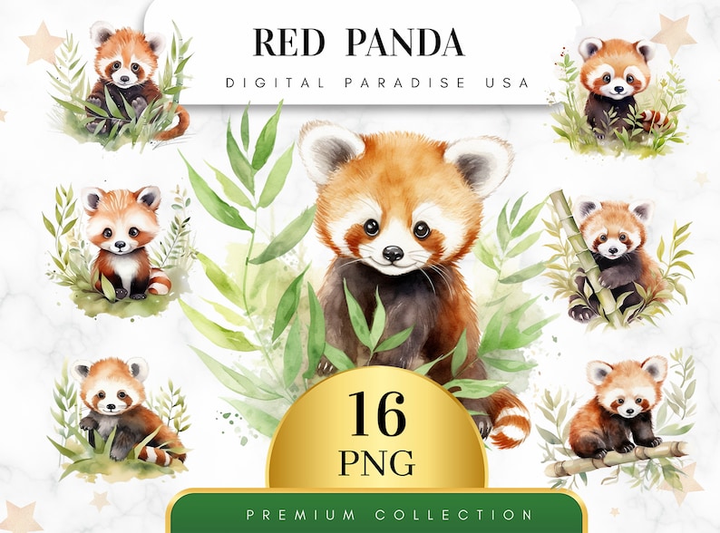 May include: A digital download of 16 watercolor illustrations of red pandas in various poses, surrounded by green bamboo and leaves. The illustrations are perfect for creating invitations, cards, or other crafts.