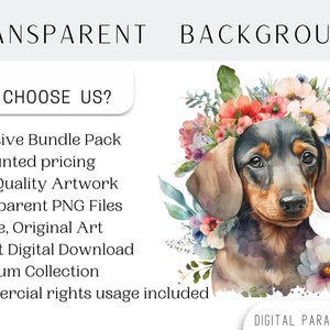 May include: Watercolor illustration of a dachshund puppy wearing a flower crown. The dog has brown ears, a black nose, and brown eyes. The flowers in the crown are pink, red, white, and blue. The background is white.