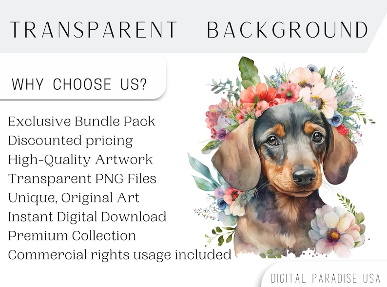 May include: Watercolor illustration of a dachshund puppy wearing a flower crown. The dog has brown ears, a black nose, and brown eyes. The flowers in the crown are pink, red, white, and blue. The background is white.