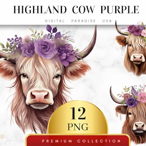 Conjunto de 12, vaca roxa das Terras Altas, vaca PNG, vaca das Terras Altas em aquarela, arte animal Boho, clipart de animais de fazenda, PNG de sublimação, download digital