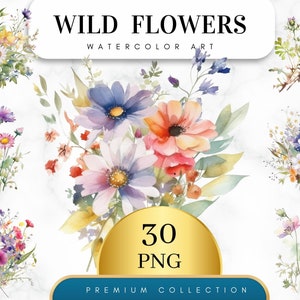 Set von 30, Aquarell Frühling Wildblumen Clipart, Blumenstrauß, Blumenstrauß, Wildblumen PNG, Hochzeit Clipart, Babyparty, Digitale PNG