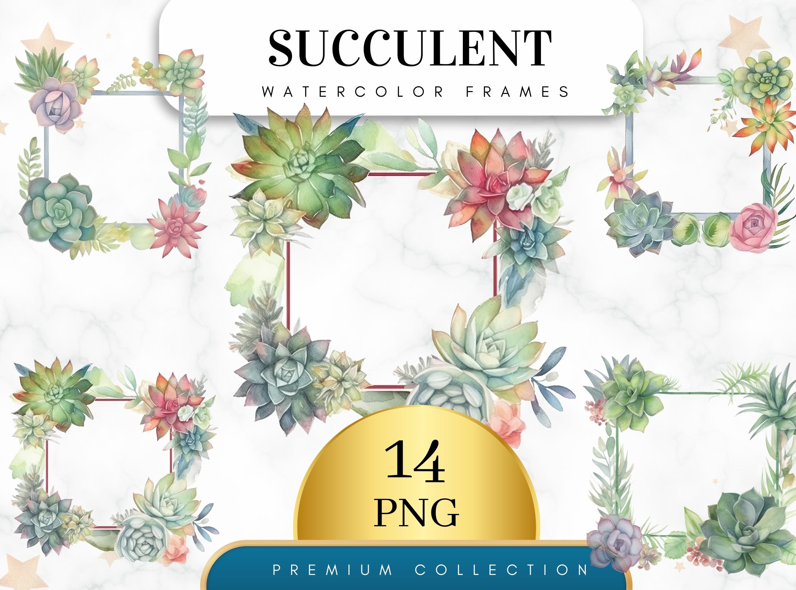 Set of 14, Watercolor Succulent Plant Frame. Spring Flowers, Boho Plant and  Cactus, Floral Wedding Invitation, Scrapbook, Digital PNG - Etsy, image size:2700x2000