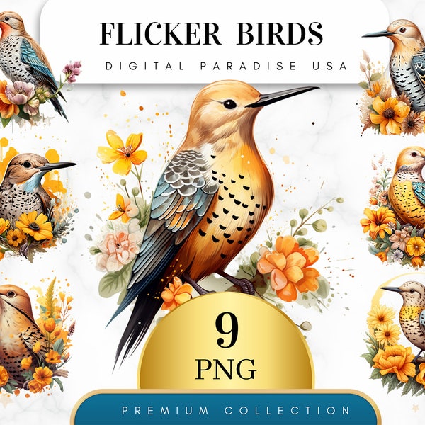 Conjunto de 9, Imágenes Prediseñadas de pájaros parpadeantes, PNG de pájaros, pájaros de acuarela, ilustraciones de pájaros, arte de aves, diario basura, PNG de sublimación, descarga digital