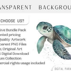 May include: A watercolor painting of a green sea turtle with a white background. The turtle is swimming in the water with its head turned to the side. The text "TRANSPARENT BACKGROUND" is at the top of the image and the text "WHY CHOOSE US?" is below the turtle. The text below "WHY CHOOSE US?" includes the following: "Exclusive Bundle Pack", "Discounted pricing", "High-Quality Artwork", "Transparent PNG Files", "Unique, Original Art", "Instant Digital Download", "Premium Collection", and "Commercial rights usage included". The text "DIGITAL PARADISE USA" is at the bottom of the image.
